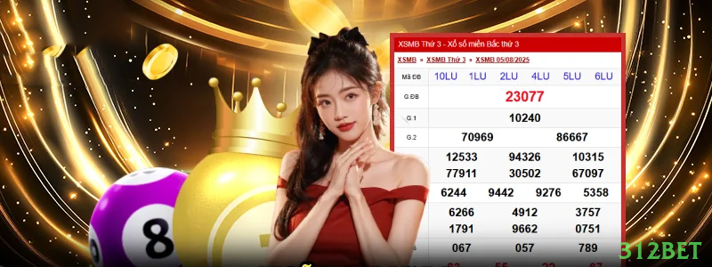 312bet App - Aplicativo Oficial para Android e iOS